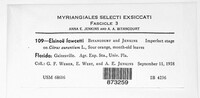 Elsinoe fawcettii image